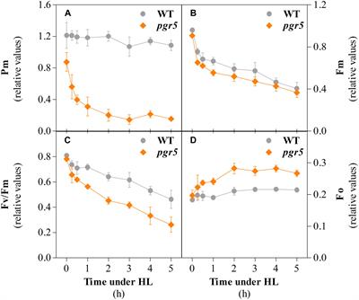 Photoinhibition of Photosystem I Provides Oxidative Protection During Imbalanced Photosynthetic Electron Transport in Arabidopsis thaliana